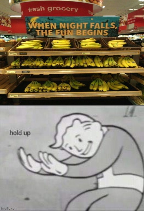 Disgusting | image tagged in fallout hold up,you had one job | made w/ Imgflip meme maker