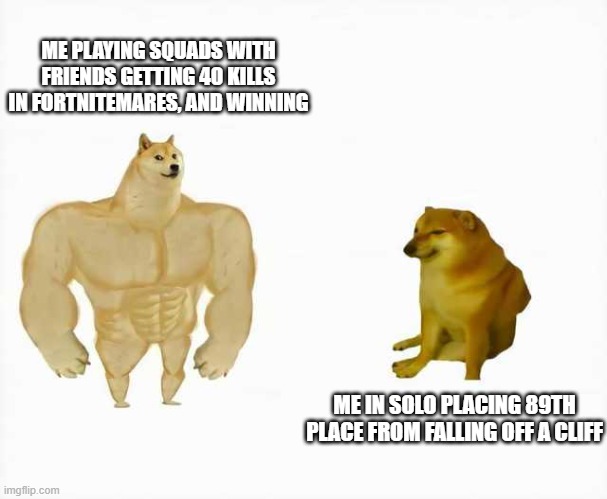 Friends Lift Me Up Higher | ME PLAYING SQUADS WITH FRIENDS GETTING 40 KILLS IN FORTNITEMARES, AND WINNING; ME IN SOLO PLACING 89TH PLACE FROM FALLING OFF A CLIFF | image tagged in strong dog vs weak dog | made w/ Imgflip meme maker