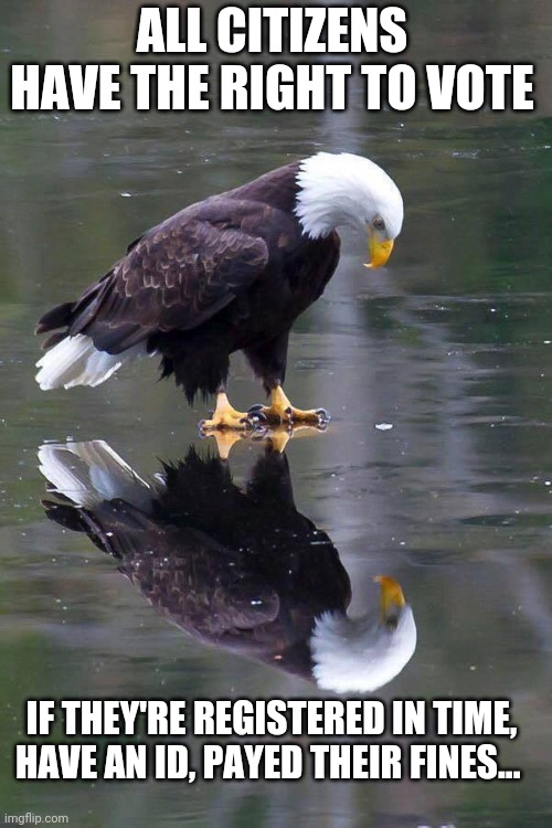 Existential Patriotic Eagle | ALL CITIZENS HAVE THE RIGHT TO VOTE; IF THEY'RE REGISTERED IN TIME, HAVE AN ID, PAYED THEIR FINES... | image tagged in existential patriotic eagle | made w/ Imgflip meme maker