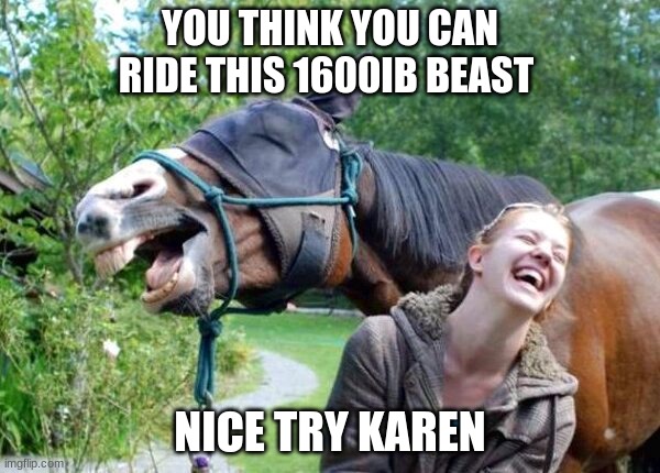 all facts no printer |  YOU THINK YOU CAN RIDE THIS 1600IB BEAST; NICE TRY KAREN | image tagged in laughing horse | made w/ Imgflip meme maker