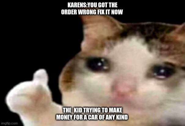 Sad cat thumbs up | KARENS:YOU GOT THE ORDER WRONG FIX IT NOW; THE  KID TRYING TO MAKE MONEY FOR A CAR OF ANY KIND | image tagged in sad cat thumbs up | made w/ Imgflip meme maker