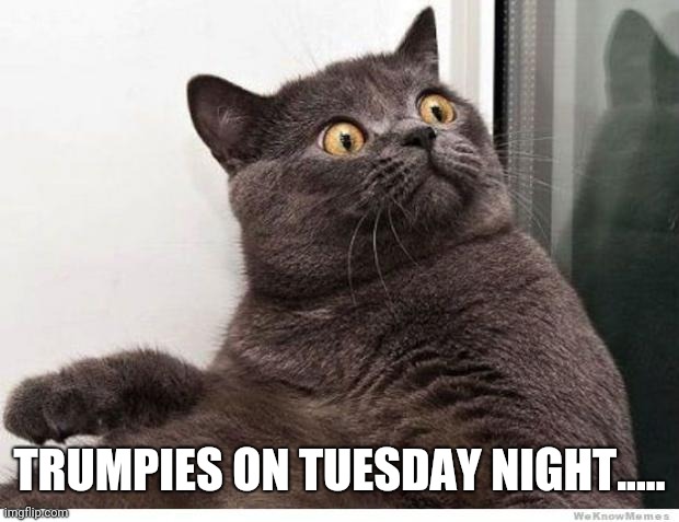 Shocked Trumpies | TRUMPIES ON TUESDAY NIGHT..... | image tagged in never trump,dump trump,trump unfit unqualified dangerous | made w/ Imgflip meme maker