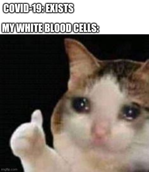 My immune system has left the chat. | COVID-19: EXISTS; MY WHITE BLOOD CELLS: | image tagged in approved crying cat | made w/ Imgflip meme maker