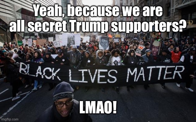 blm | Yeah, because we are all secret Trump supporters? LMAO! | image tagged in blm | made w/ Imgflip meme maker