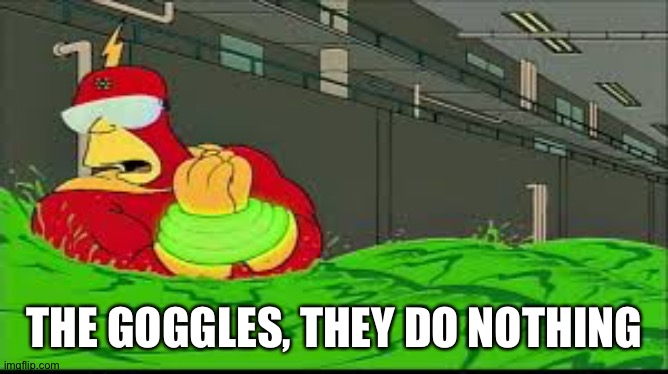 My eyes! The goggles they do nothing | THE GOGGLES, THEY DO NOTHING | image tagged in my eyes the goggles they do nothing | made w/ Imgflip meme maker