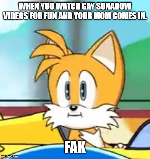 fak | WHEN YOU WATCH GAY SONADOW VIDEOS FOR FUN AND YOUR MOM COMES IN. FAK | image tagged in tails hold up | made w/ Imgflip meme maker
