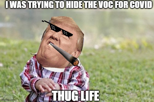 Evil Toddler Meme | I WAS TRYING TO HIDE THE VOC FOR COVID; THUG LIFE | image tagged in memes,evil toddler | made w/ Imgflip meme maker