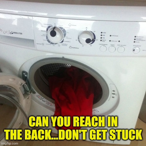 Ermagerd washer | CAN YOU REACH IN THE BACK...DON'T GET STUCK | image tagged in ermagerd washer | made w/ Imgflip meme maker