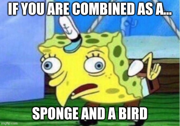 Mocking Spongebob | IF YOU ARE COMBINED AS A... SPONGE AND A BIRD | image tagged in memes,mocking spongebob | made w/ Imgflip meme maker