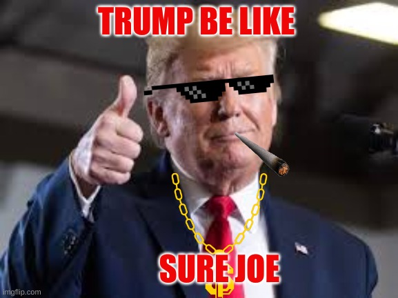 trump meem | TRUMP BE LIKE; SURE JOE | image tagged in donald trump | made w/ Imgflip meme maker