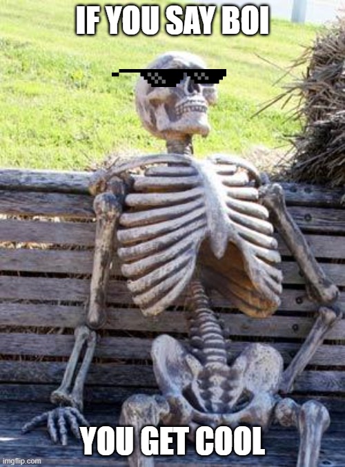 Waiting Skeleton Meme | IF YOU SAY BOI YOU GET COOL | image tagged in memes,waiting skeleton | made w/ Imgflip meme maker