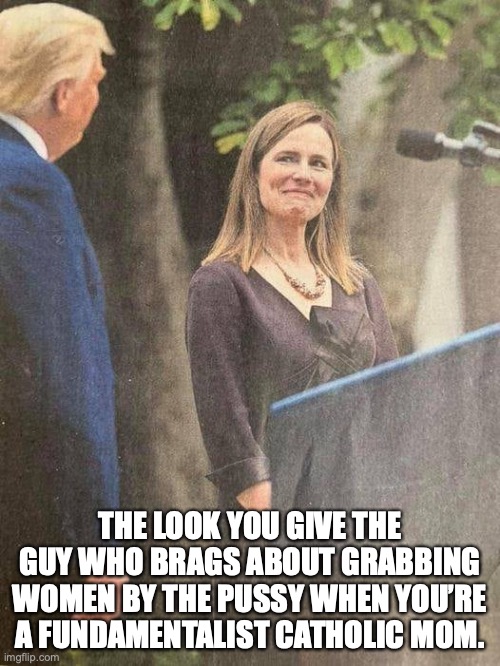 Find someone who looks at you the way... | THE LOOK YOU GIVE THE GUY WHO BRAGS ABOUT GRABBING WOMEN BY THE PUSSY WHEN YOU’RE A FUNDAMENTALIST CATHOLIC MOM. | image tagged in trump,scotus,grab them by the pussy | made w/ Imgflip meme maker