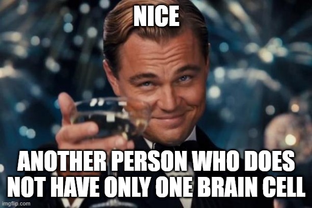 Leonardo Dicaprio Cheers Meme | NICE ANOTHER PERSON WHO DOES NOT HAVE ONLY ONE BRAIN CELL | image tagged in memes,leonardo dicaprio cheers | made w/ Imgflip meme maker