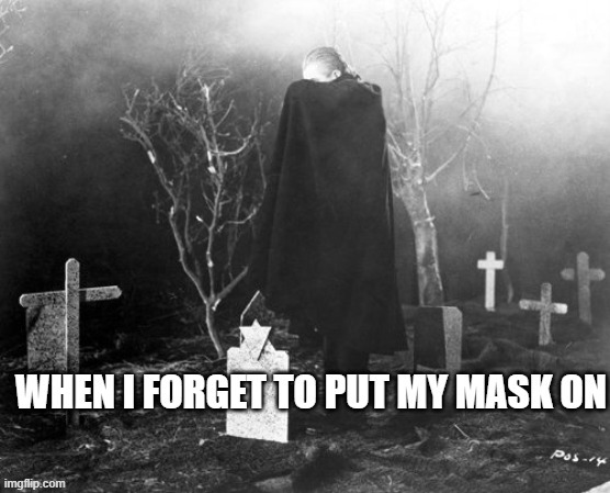 image tagged in covid-19,face mask | made w/ Imgflip meme maker