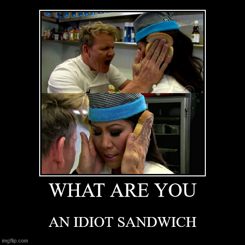 idiot sandwich | image tagged in funny,demotivationals | made w/ Imgflip demotivational maker