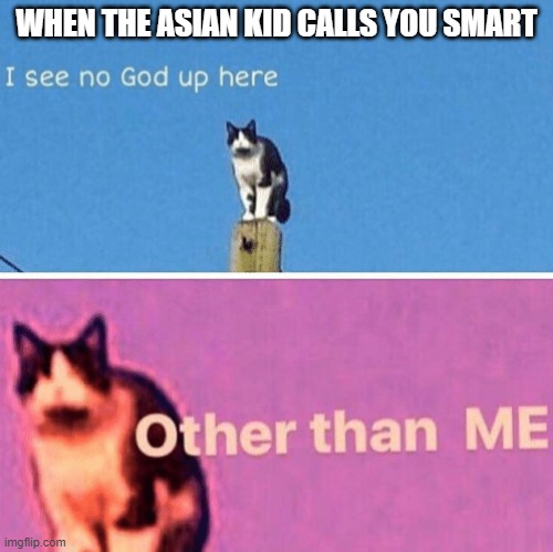 Luckily im the asian kid | WHEN THE ASIAN KID CALLS YOU SMART | image tagged in hail pole cat | made w/ Imgflip meme maker