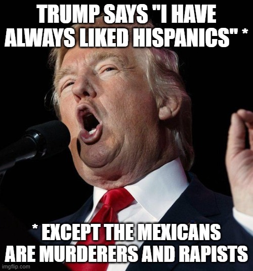 The Stupid Bullshit That Comes Out of This Idiot's Mouth | TRUMP SAYS "I HAVE ALWAYS LIKED HISPANICS" *; * EXCEPT THE MEXICANS ARE MURDERERS AND RAPISTS | image tagged in donald trump is an idiot,trump is a moron,trump is an asshole,donald trump is an orangutan,trump is a douchebag | made w/ Imgflip meme maker