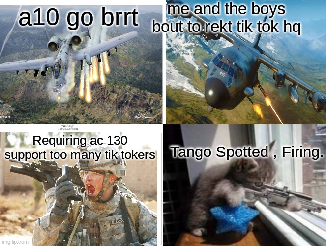 Anti Tik tok | me and the boys bout to rekt tik tok hq; a10 go brrt; Requiring ac 130 support too many tik tokers; Tango Spotted , Firing. | image tagged in airplane,sniper cat,soldier | made w/ Imgflip meme maker