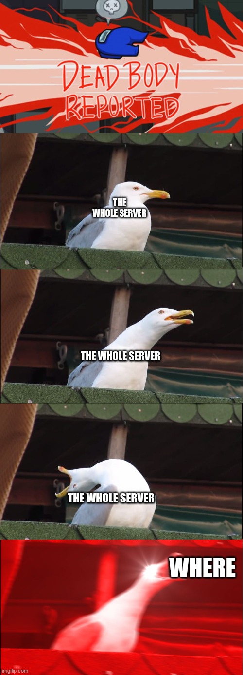 reeee |  THE WHOLE SERVER; THE WHOLE SERVER; THE WHOLE SERVER; WHERE | image tagged in memes,inhaling seagull | made w/ Imgflip meme maker