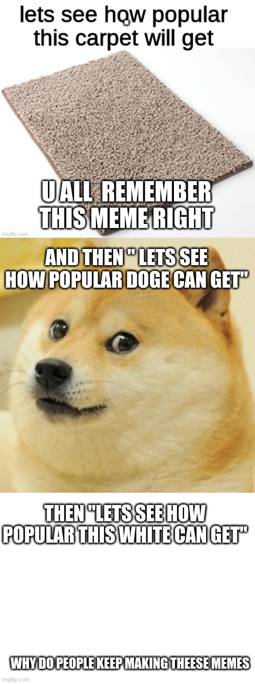 . U ALL  REMEMBER THIS MEME RIGHT; AND THEN " LETS SEE HOW POPULAR DOGE CAN GET"; THEN "LETS SEE HOW POPULAR THIS WHITE CAN GET"; WHY DO PEOPLE KEEP MAKING THESE MEMES | image tagged in memes,doge,blank white template,carpet | made w/ Imgflip meme maker