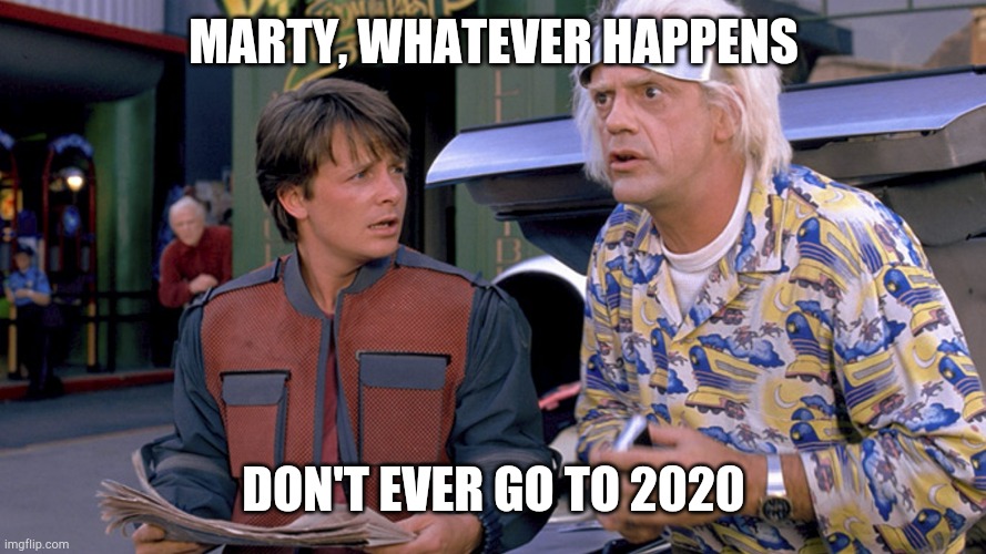 BTTF 2020 |  MARTY, WHATEVER HAPPENS; DON'T EVER GO TO 2020 | image tagged in 2015 bttf | made w/ Imgflip meme maker
