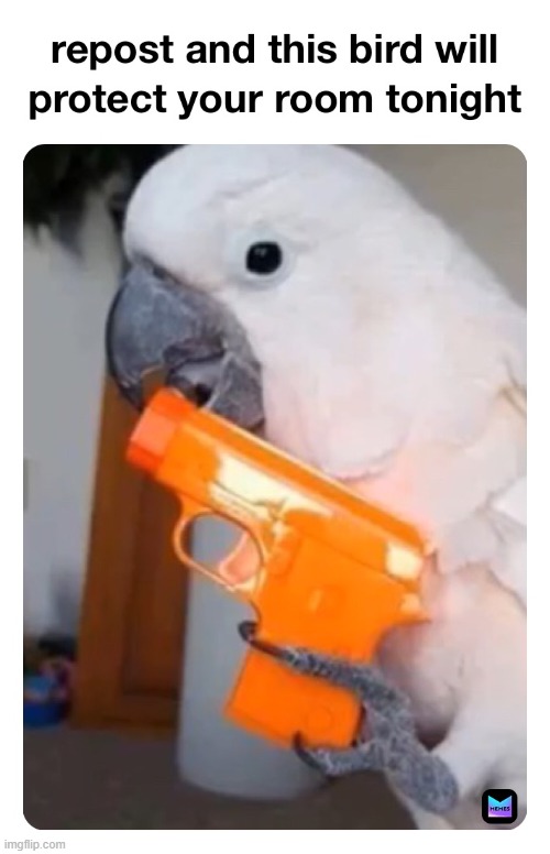 repost parrot | image tagged in repost | made w/ Imgflip meme maker