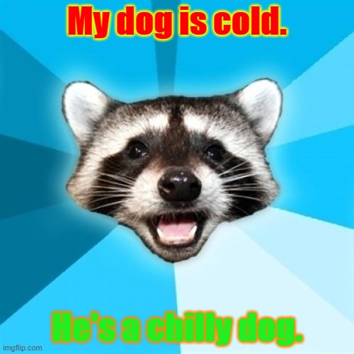 Lame Pun Coon Meme | My dog is cold. He's a chilly dog. | image tagged in memes,lame pun coon | made w/ Imgflip meme maker