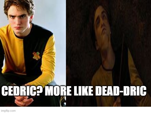 my friend made this pun..... | CEDRIC? MORE LIKE DEAD-DRIC | image tagged in harry potter | made w/ Imgflip meme maker