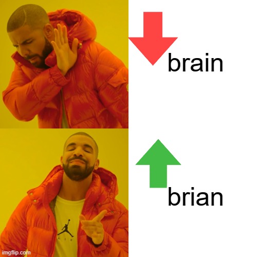Drake Hotline Bling | brain; brian | image tagged in memes,drake hotline bling | made w/ Imgflip meme maker