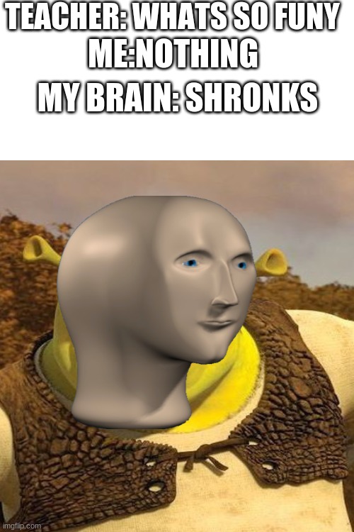 TEACHER: WHATS SO FUNY; ME:NOTHING; MY BRAIN: SHRONKS | image tagged in blank white template | made w/ Imgflip meme maker