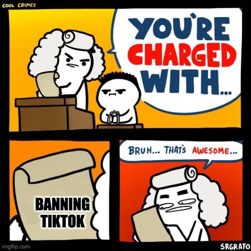 cool crimes | BANNING TIKTOK | image tagged in cool crimes | made w/ Imgflip meme maker