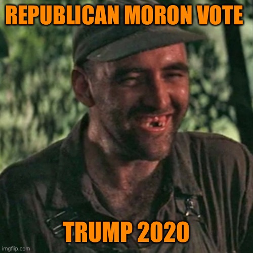 REPUBLICAN MORON VOTE TRUMP 2020 | made w/ Imgflip meme maker