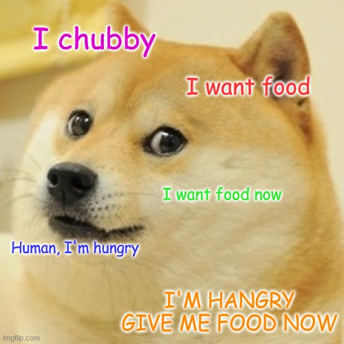 Doge | I chubby; I want food; I want food now; Human, I'm hungry; I'M HANGRY GIVE ME FOOD NOW | image tagged in memes,doge | made w/ Imgflip meme maker