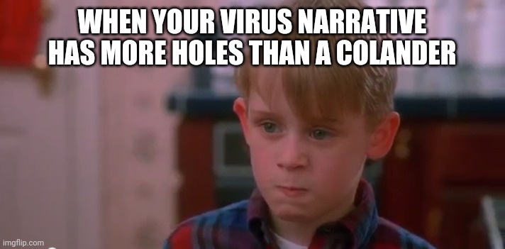 It's falling down. | WHEN YOUR VIRUS NARRATIVE HAS MORE HOLES THAN A COLANDER | image tagged in home alone,lockdown | made w/ Imgflip meme maker