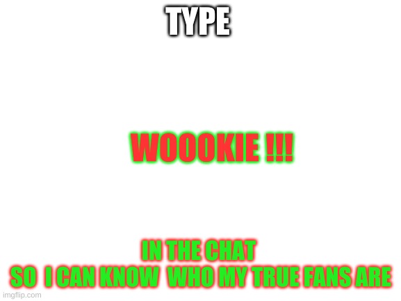 who are my fans | TYPE; WOOOKIE !!! IN THE CHAT 
SO  I CAN KNOW  WHO MY TRUE FANS ARE | image tagged in blank white template | made w/ Imgflip meme maker