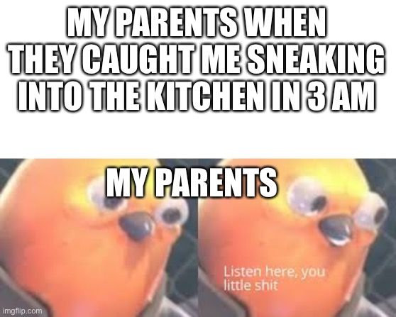 Bird | MY PARENTS WHEN THEY CAUGHT ME SNEAKING INTO THE KITCHEN IN 3 AM; MY PARENTS | image tagged in listen here you little shit | made w/ Imgflip meme maker