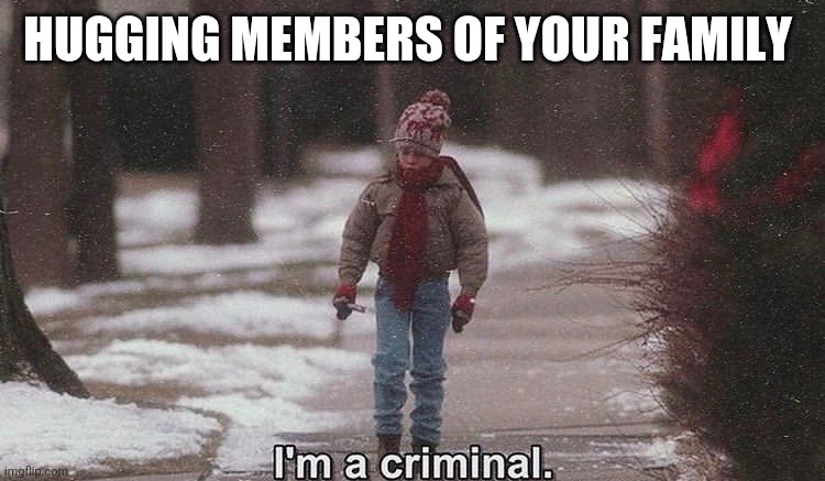 Or we say "No". | HUGGING MEMBERS OF YOUR FAMILY | image tagged in home alone,lockdown | made w/ Imgflip meme maker
