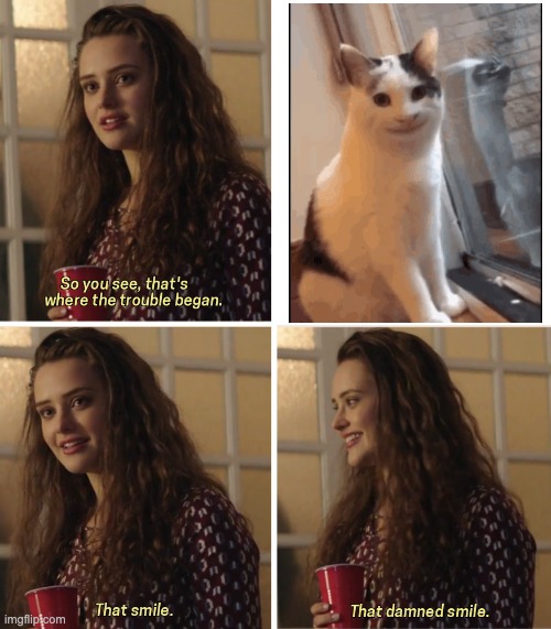 i dont know | image tagged in that damn smile,memes,cat | made w/ Imgflip meme maker