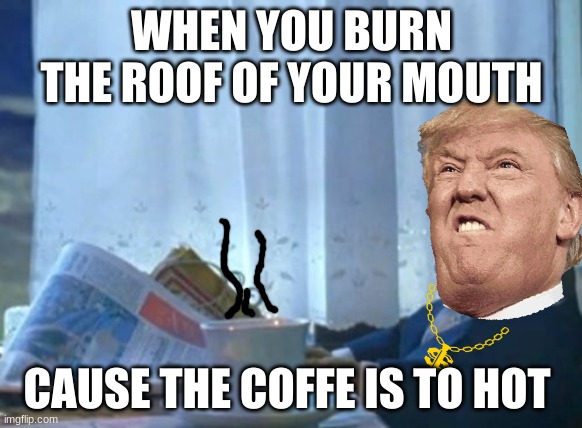 hot hot | WHEN YOU BURN THE ROOF OF YOUR MOUTH; CAUSE THE COFFEE IS TO HOT | image tagged in memes,i should buy a boat cat | made w/ Imgflip meme maker