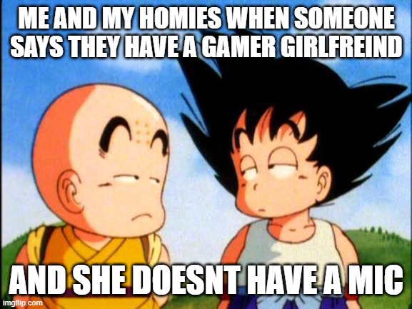 Kid Goku | ME AND MY HOMIES WHEN SOMEONE SAYS THEY HAVE A GAMER GIRLFREIND; AND SHE DOESNT HAVE A MIC | image tagged in kid goku | made w/ Imgflip meme maker