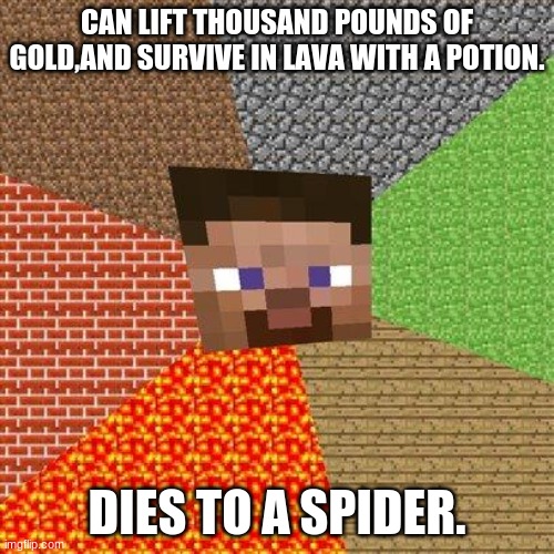 spooder death | CAN LIFT THOUSAND POUNDS OF GOLD,AND SURVIVE IN LAVA WITH A POTION. DIES TO A SPIDER. | image tagged in minecraft steve | made w/ Imgflip meme maker