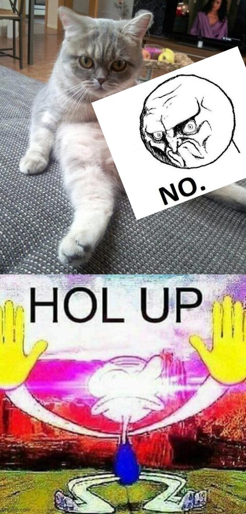 Whatever post this must die | image tagged in memes,sexy cat,hol up,no | made w/ Imgflip meme maker
