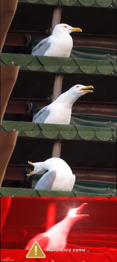 Blood Harvest be like | image tagged in memes,inhaling seagull,left 4 dead,valve,video games | made w/ Imgflip meme maker