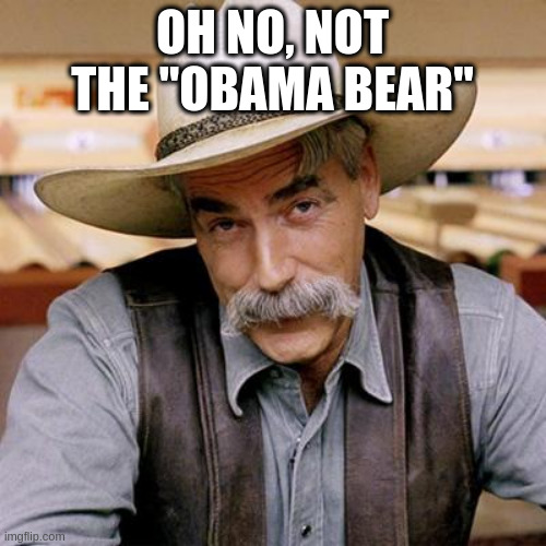 SARCASM COWBOY | OH NO, NOT THE "OBAMA BEAR" | image tagged in sarcasm cowboy | made w/ Imgflip meme maker