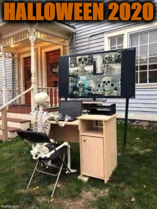 [colorized] | HALLOWEEN 2020 | image tagged in skeletons zoom,halloween,skeletons,2020 sucks,2020,zoom | made w/ Imgflip meme maker