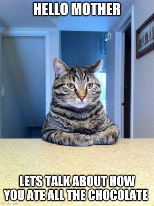 Take A Seat Cat Meme | HELLO MOTHER; LETS TALK ABOUT HOW YOU ATE ALL THE CHOCOLATE | image tagged in memes,take a seat cat | made w/ Imgflip meme maker