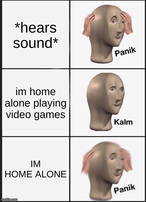 OHHH NOO | *hears sound*; im home alone playing video games; IM HOME ALONE | image tagged in memes,panik kalm panik | made w/ Imgflip meme maker