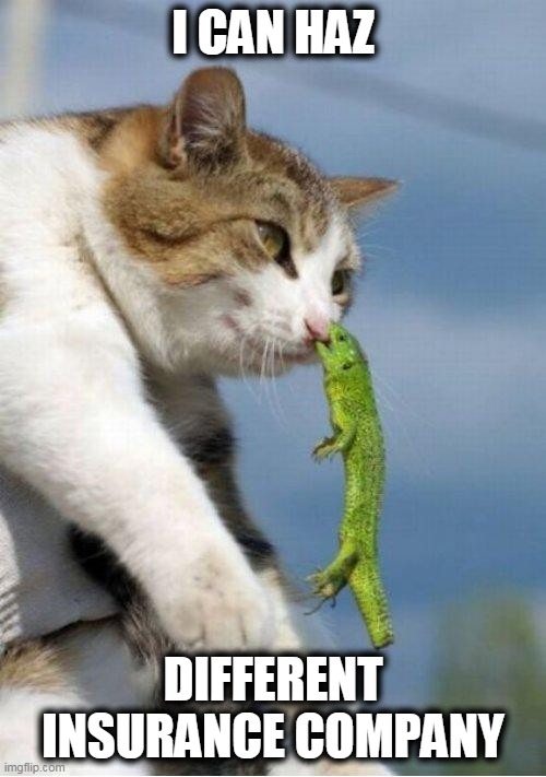 geico |  I CAN HAZ; DIFFERENT INSURANCE COMPANY | image tagged in geico gecko,cats | made w/ Imgflip meme maker