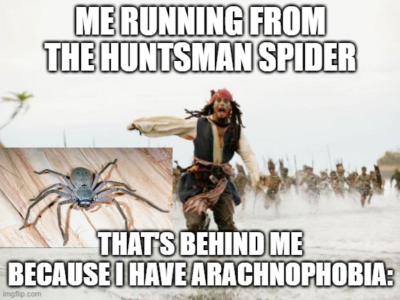 Jack Sparrow Being Chased | ME RUNNING FROM THE HUNTSMAN SPIDER; THAT'S BEHIND ME BECAUSE I HAVE ARACHNOPHOBIA: | image tagged in memes,jack sparrow being chased | made w/ Imgflip meme maker