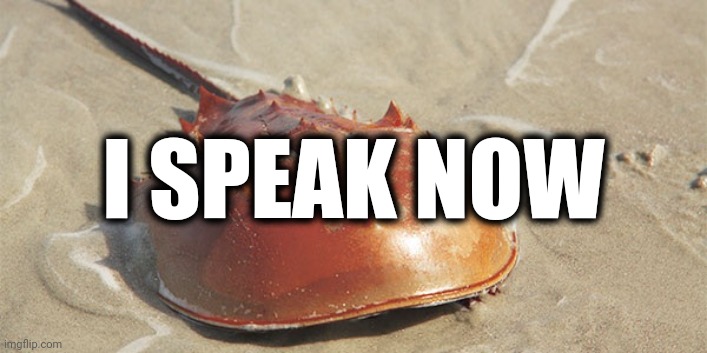 :p | I SPEAK NOW | made w/ Imgflip meme maker